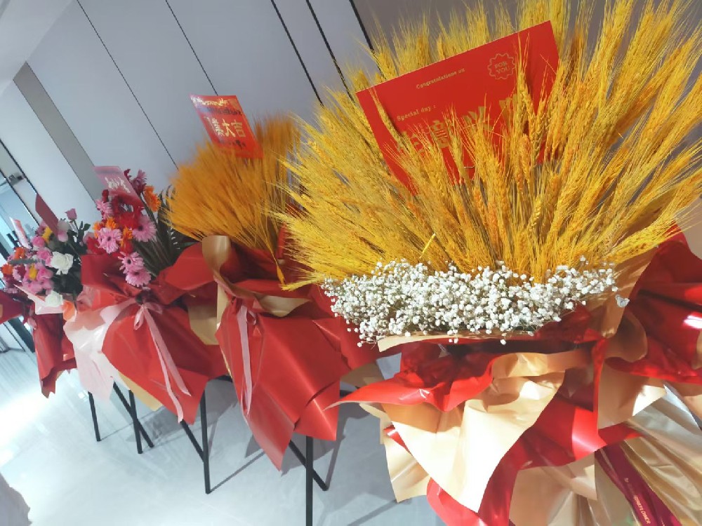 山東潤(rùn)航供應(yīng)鏈有限公司青島分公司喬遷大吉！